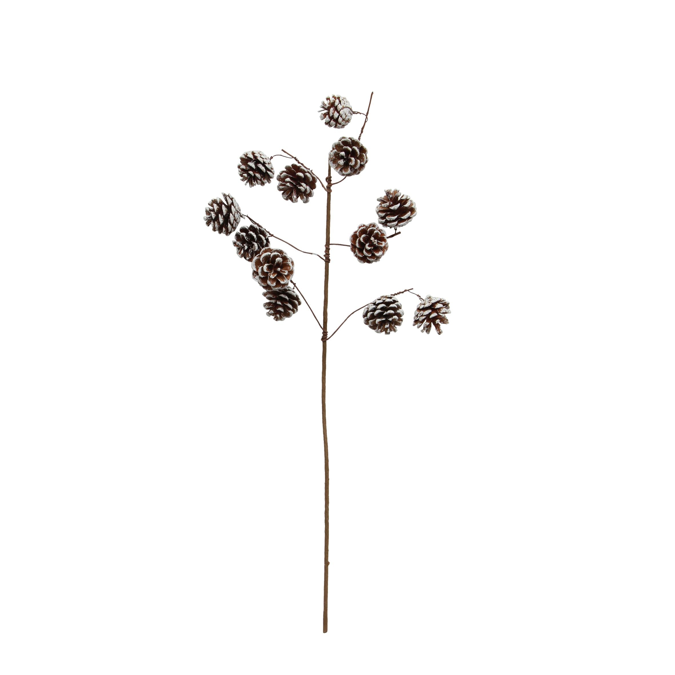 FCC-WhitewashPineconeBranch.jpg