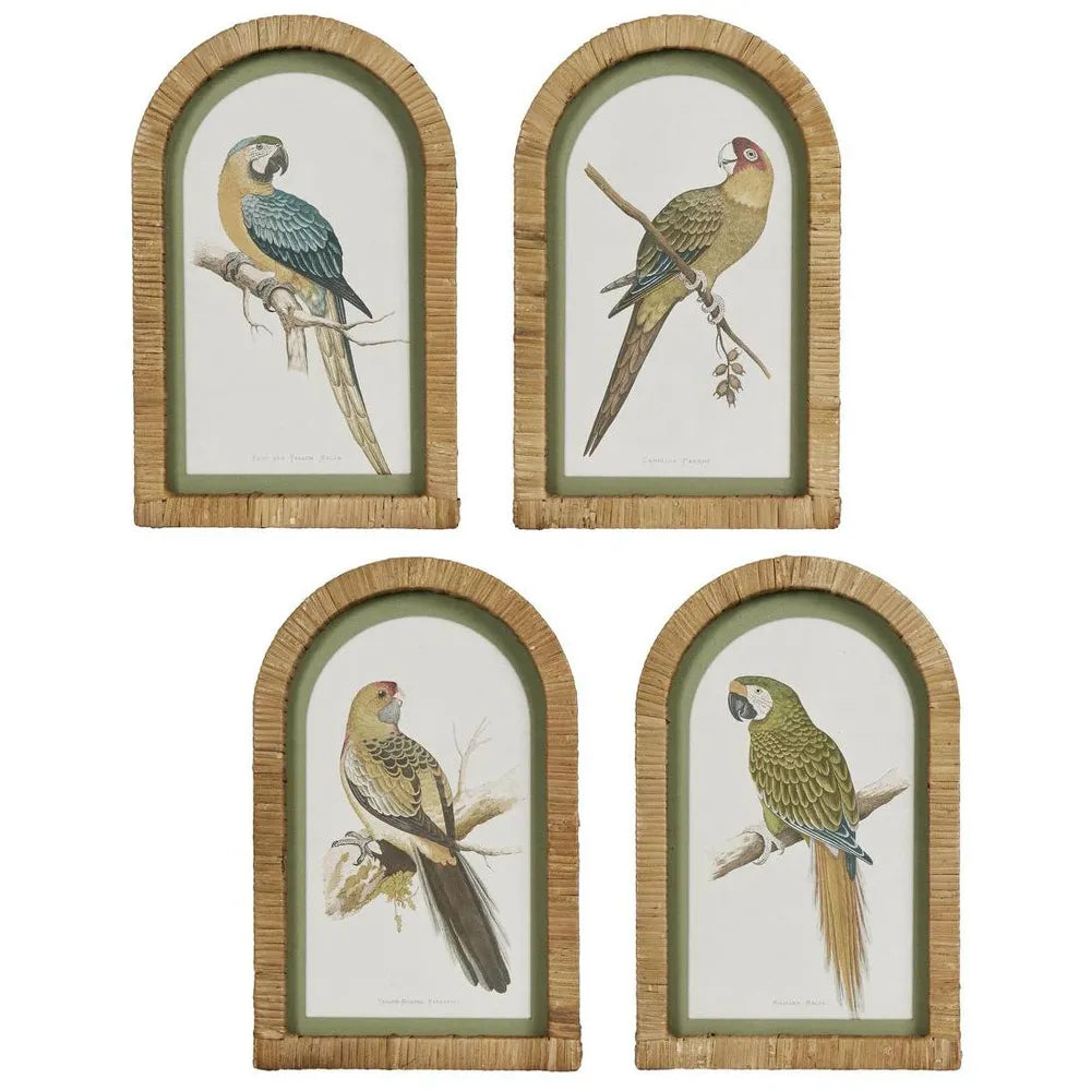 Florabelle Parrots Wall Art with Rattan Frames