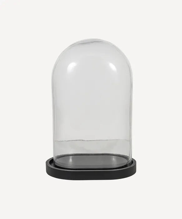 Oval Glass Dome with Black Base- Large