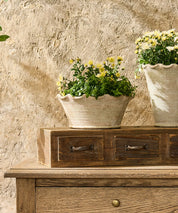 French Country Wavy Planter Bowl