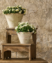 French Country Wavy Planter Pots in Small and Large