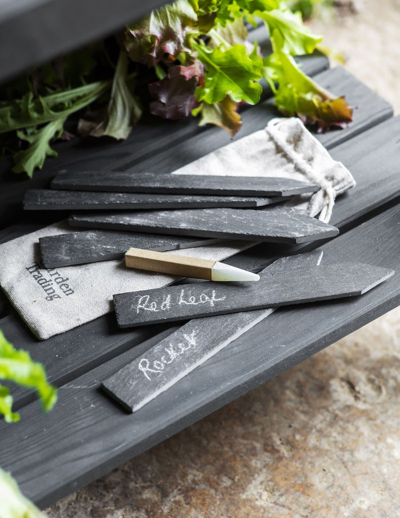 Garden Trading Set of 6 Slate Plant Tags