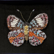 Trovelore Glorious Purplewing Butterfly