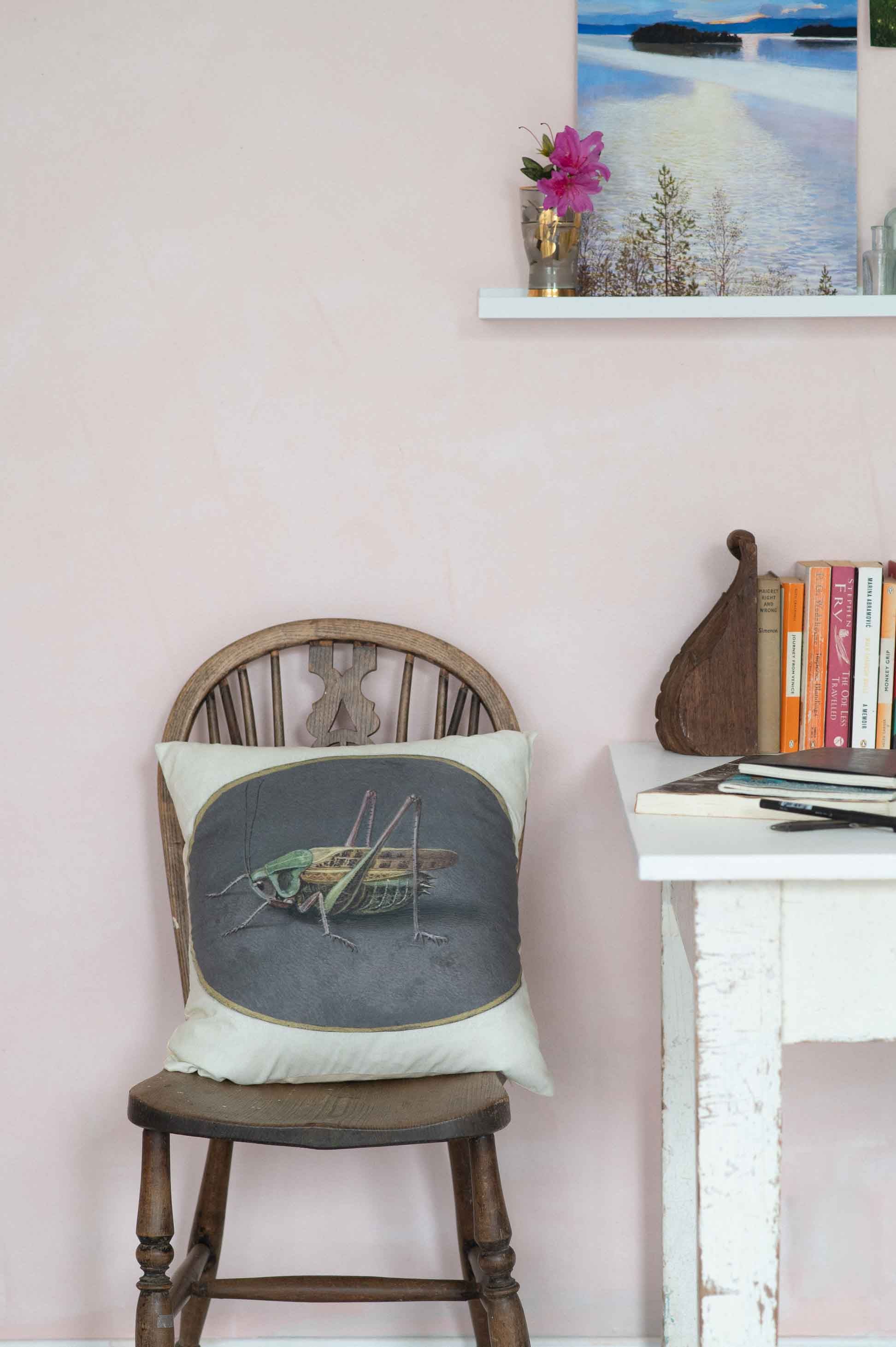 Grasshopper Cushion
