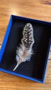Guinea Feather Brooch