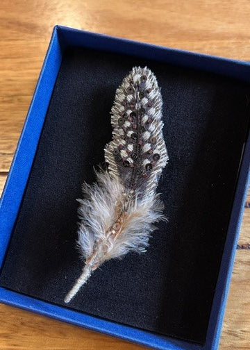 GuineaFeather1.jpg