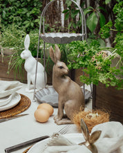 Harold the Hare Turning- Small