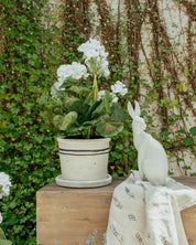 French Country Harold the Hare Turning-Small White