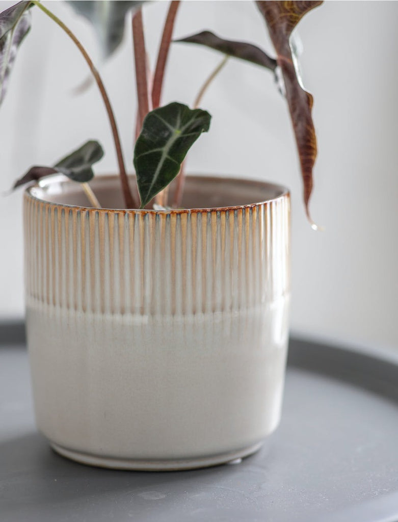 Garden trading Ivory Hillesley Pot