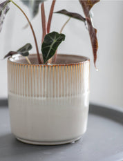 Garden trading Ivory Hillesley Pot