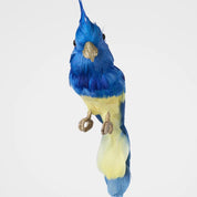 Jacques Crested Blue Bird
