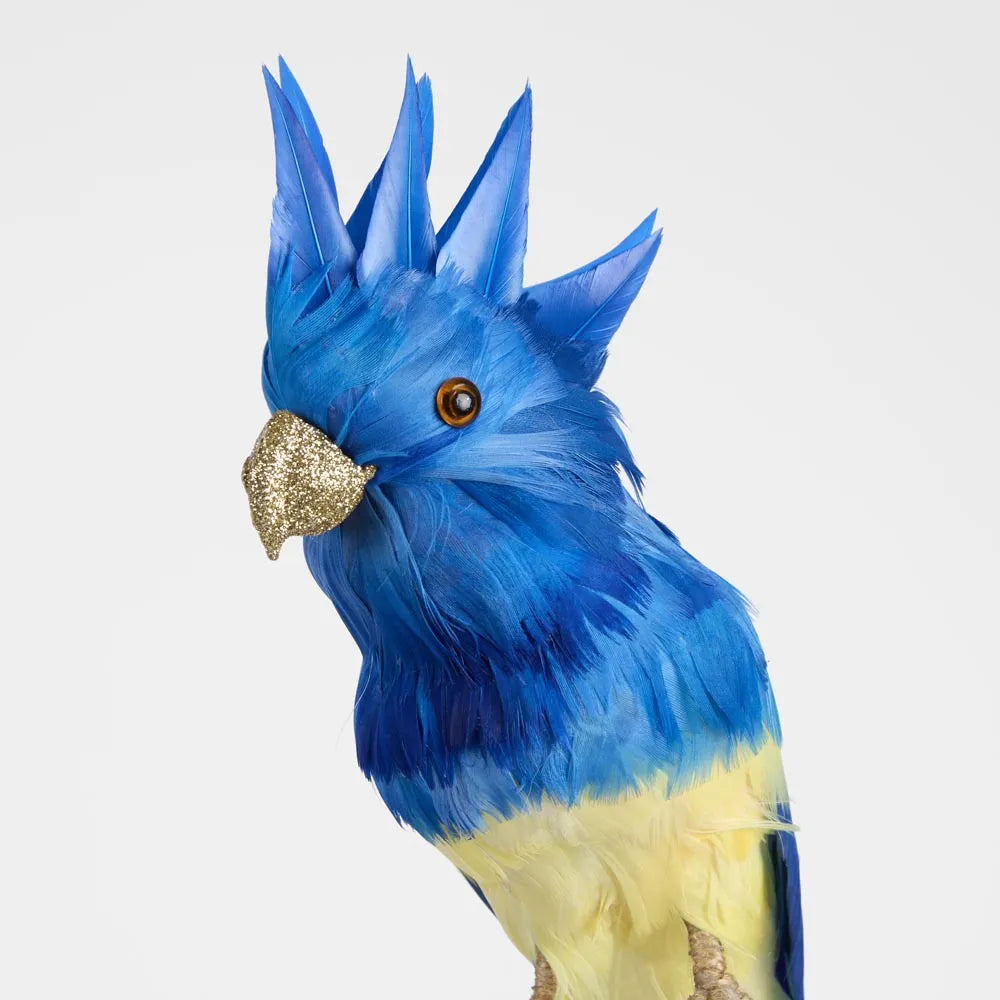 Jacques Crested Blue Bird