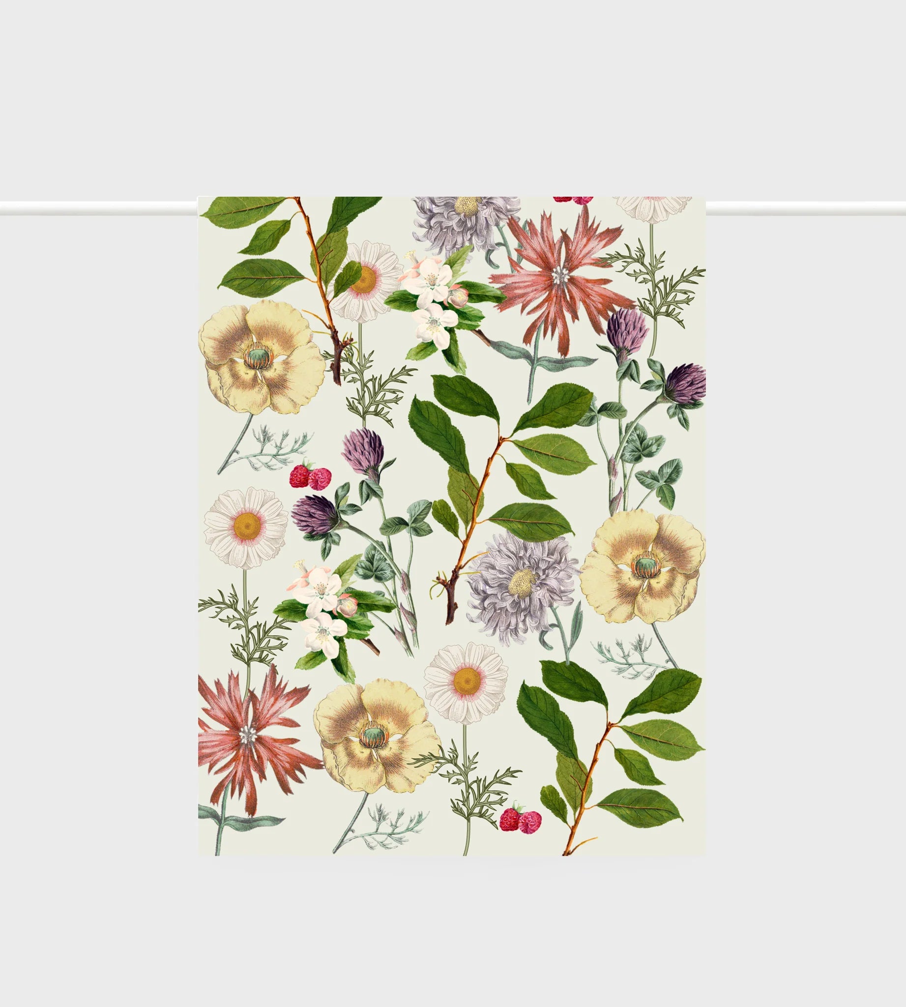L0030LettuceBerry_BloomV2.webp