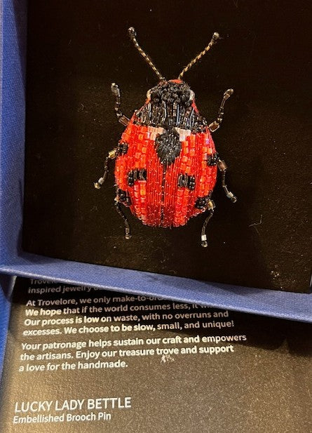 Trovelore Lucky Lady Beetle Embellished Brooch Pin