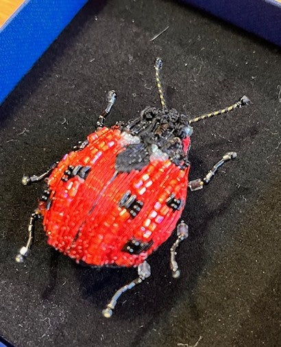LuckyLadyBeetle1.jpg