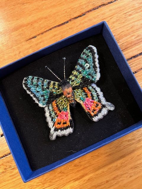 MadagascarSunsetMoth1.jpg