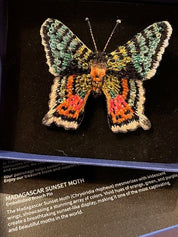 Madagascar Sunset Moth Brooch