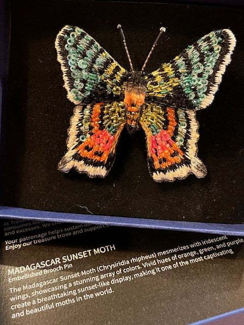Madagascar Sunset Moth Brooch