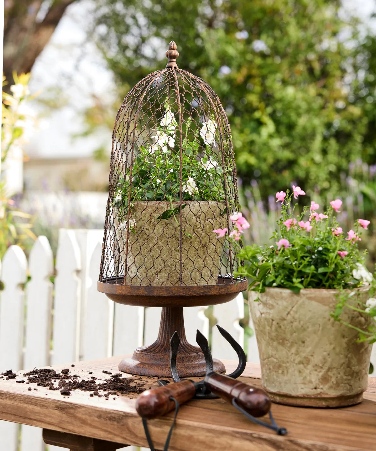 French Country Maison Garden Cloche