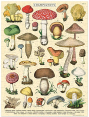 240pc Mini Puzzle- Cavallini