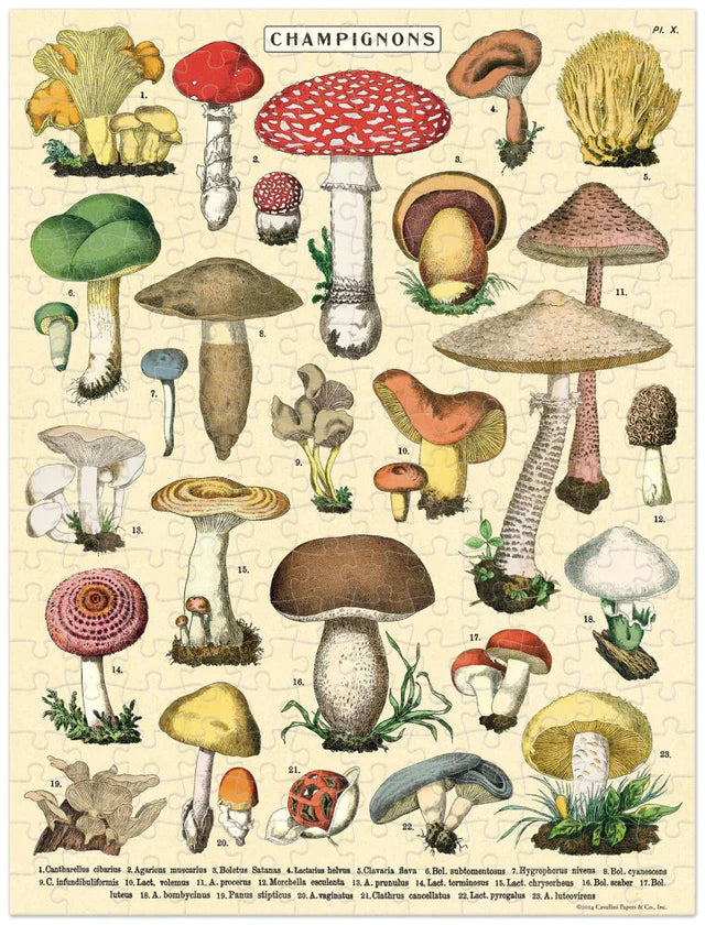 240pc Mini Puzzle- Cavallini