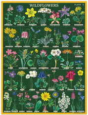 240pc Mini Puzzle- Cavallini