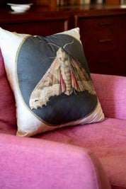 Lazybones Moth Cushion Cover