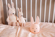 Night Light- Mrs. Rabbit