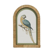 Parrots in Arches Wall Art