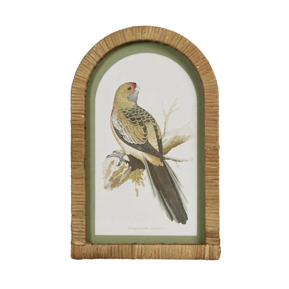 Parrots in Arches Wall Art