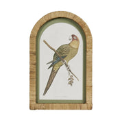 Parrots in Arches Wall Art