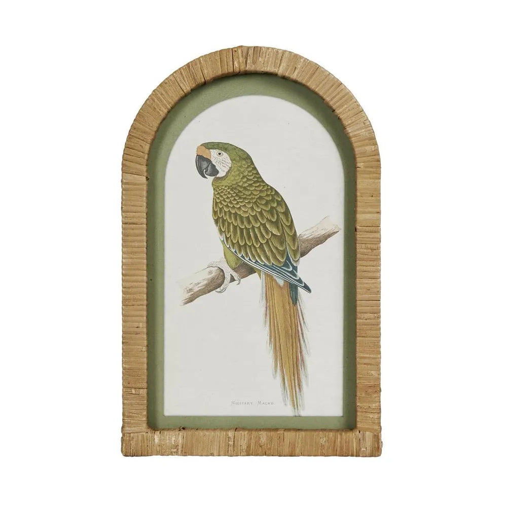 Parrots in Arches Wall Art