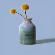 Mini Bottle Vases