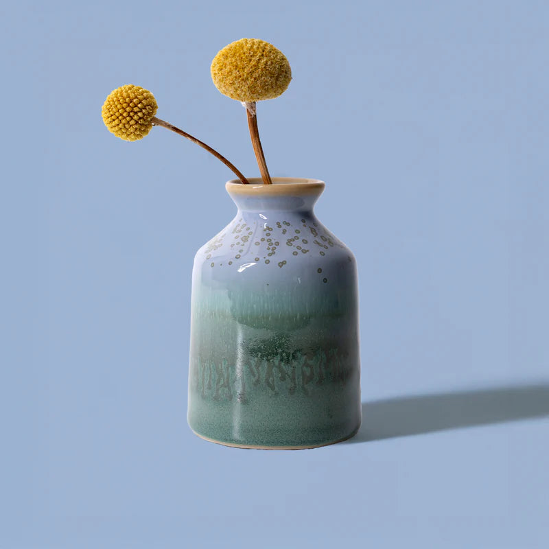 Mini Bottle Vases