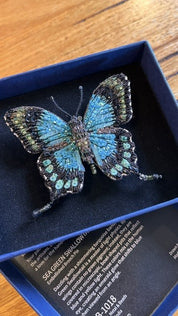 Seagreen Swallowtail Butterfly