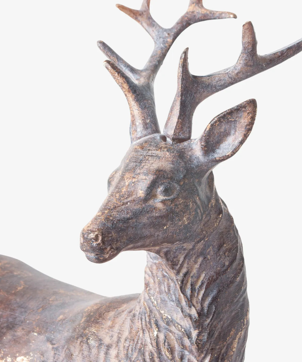 Sentinel Lying Down Reindeer