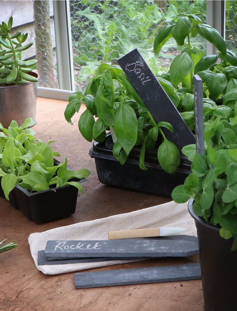 Set of 6 Slate Plant Tags