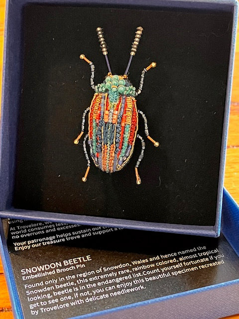 Snowdon_Beetle1.jpg