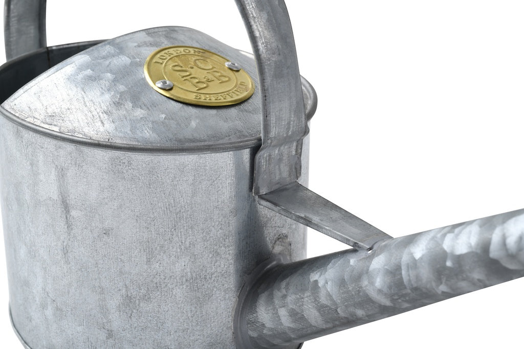 Sophie Conran-Galvanised Indoor Watering Can-Small