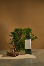 Subtle Bodies Taiwanese Hinoki Incense