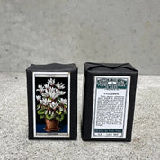 Gardener's Soap