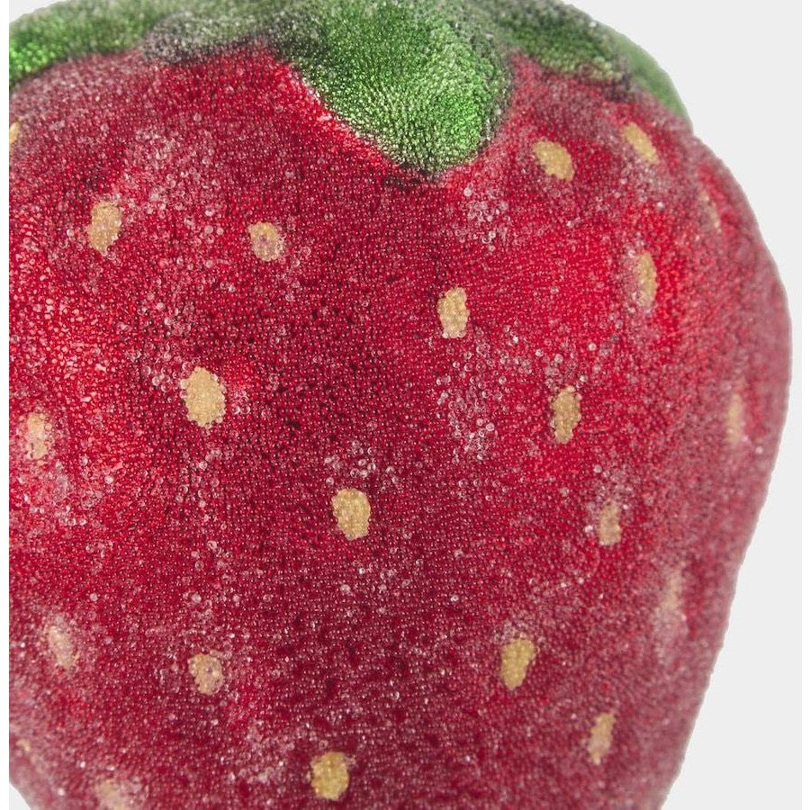 Sugared_Strawberry_Decoration-Vixen_Velevt.jpg