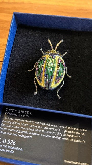 Tortoise Beetle Brooch