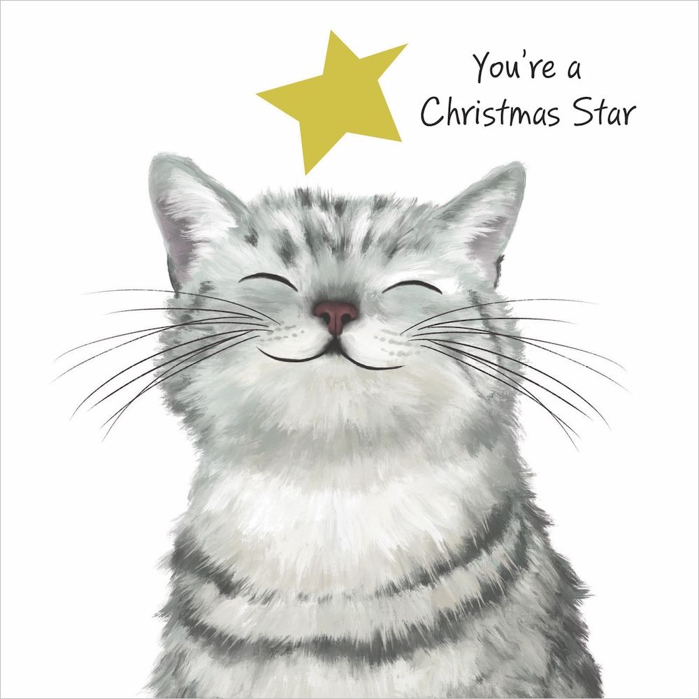Christmas Card Set- RSPCA- Christmas Star