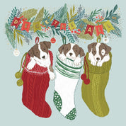 Christmas Card Set- CMRI- Cheeky Puppies