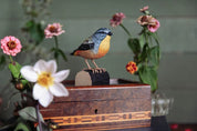Spotted Parladote- DecoBird