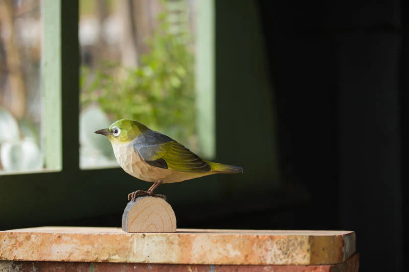 SilverEye- DecoBird