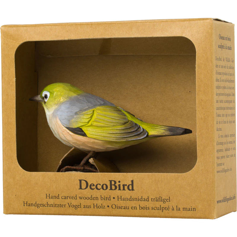 SilverEye- DecoBird