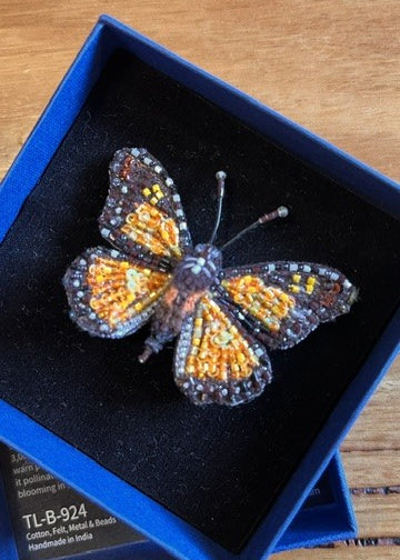 Wanderer_Monarch_Butterfly.jpg