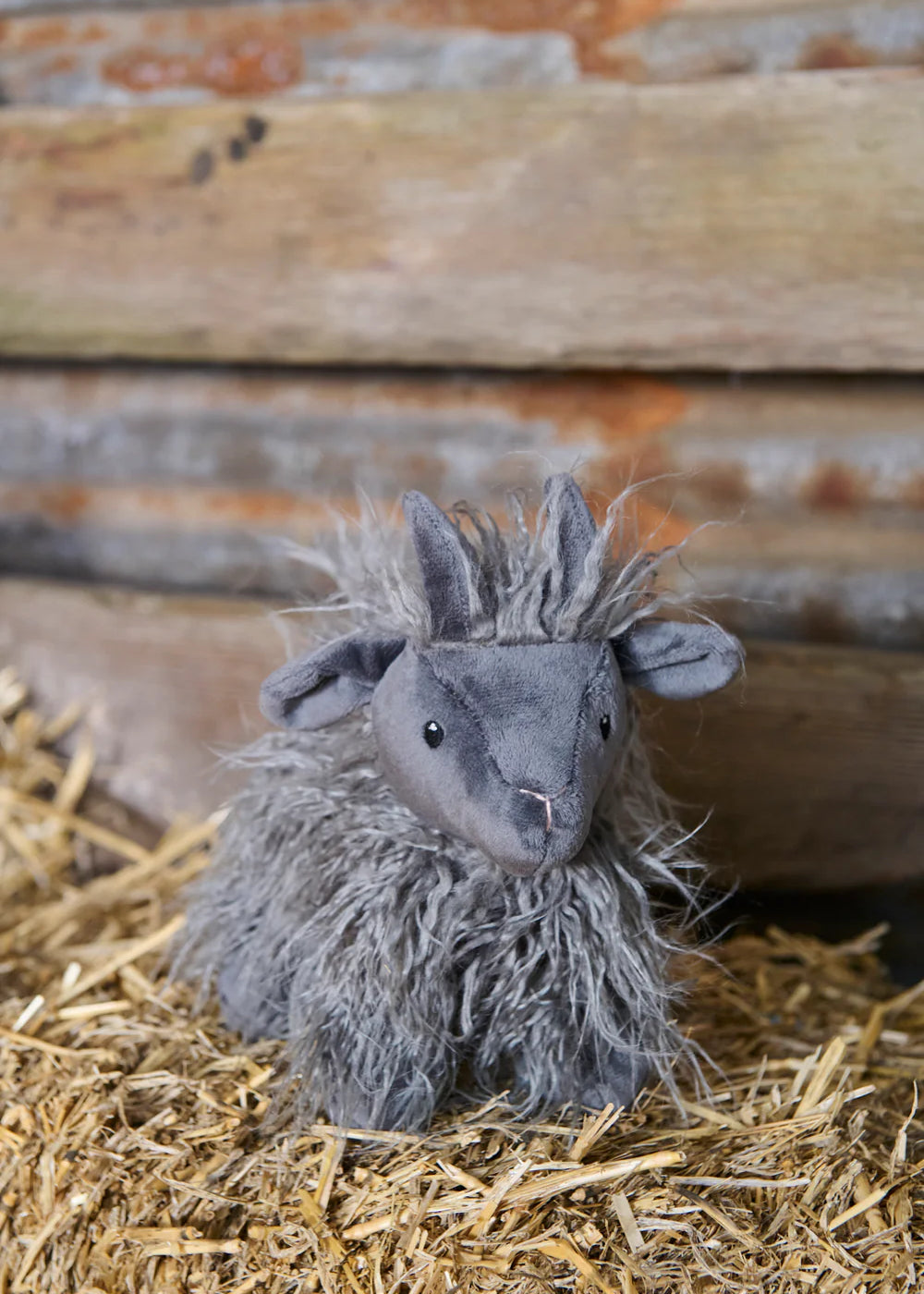Nana Huchy Aiden the Angora Goat